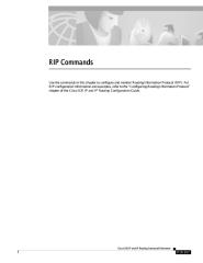 RIP Commands.pdf