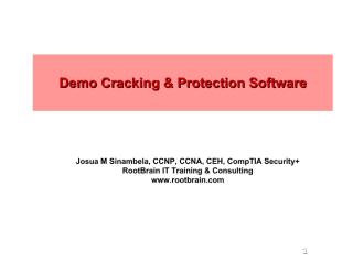 Demo Cracking & Protection Software-plus.pdf